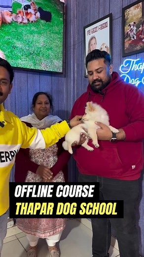 1.5K reactions · 67 shares | Dog Training in just 10 days✅ Is he...