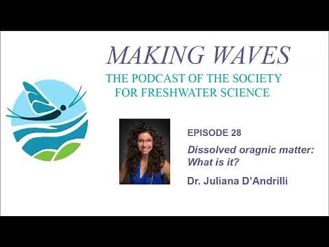 Making Waves - Ep. 28: Dissolved organic matter: what is it?