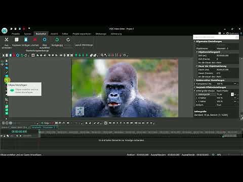 VSDC Editor - Gesicht verpixeln (Maskierung und Tracking)