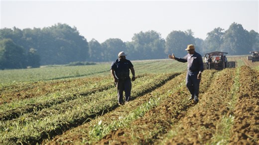 Black and Minority Farmers Are Getting $2 Billion Payment After Years of Discrimination From the USDA, But Is it Enough? - The Root