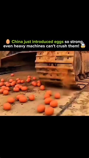 SCIENCE - EXPLAINED on Instagram: "China has introduced a new type of ultra-strong egg — engineered with material science techniques that make it incredibly resistant to pressure. Here’s how these “unbreakable eggs” work: 🔹 Reinforced Shell Structure The eggs are created using controlled mineralization, forming a denser and more uniform calcium carbonate lattice. This allows the shell to distribute force evenly instead of cracking at weak points. 🔹 Curved Strength Advantage Eggs naturally resi