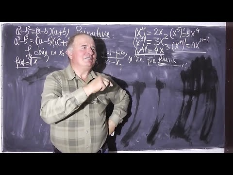 1/2 Lectia 262 - Primitive - Functii - Limite - Derivate - Tema la matematica cu Alin - Clasa 12