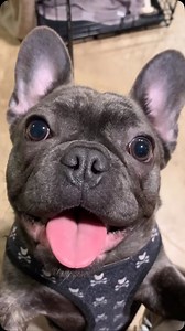 1K views · 24 reactions | Call the AMBER LAMPS!!! | Mike Fuller | Facebook