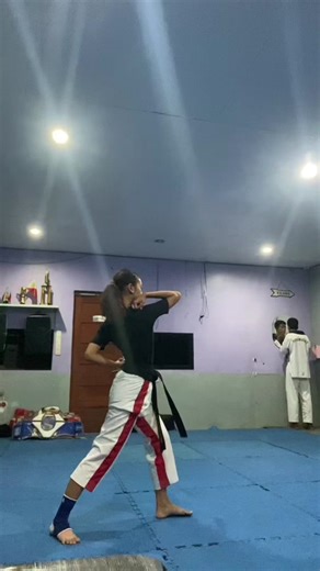 Exciting Taekwondo Edits Showcasing Skillful Moves