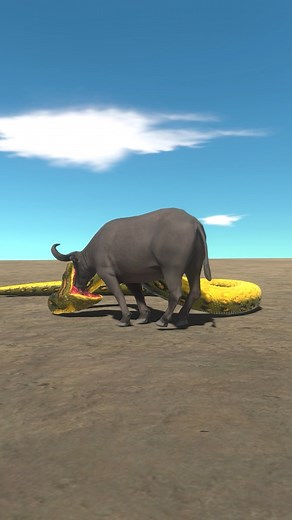 Anaconda vs Buffalo | The Burner Guy