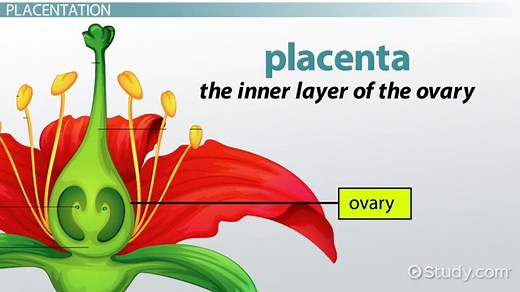 You must c C reate an account to continue watching