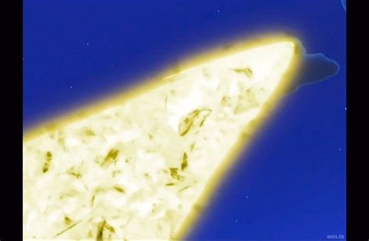 281K views · 7.5K reactions | Pikachu using volt tackle for the first time was definitely something else…. I really thought it was just plot armor and pikachu using quick attack with thunder or something … side note I was also disappointed when I couldn’t figure out how to get volt tackle in game. Until later on in life when I figured out you have to breed it how information is useful | Scizor | Facebook