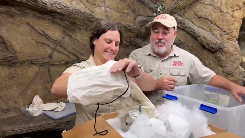 Unboxing Incredible Black Dragon Monitors