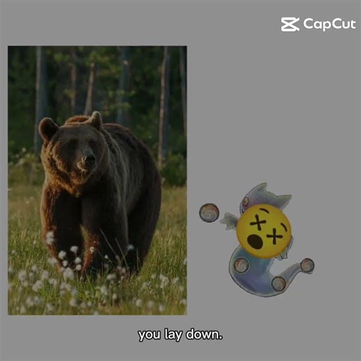 a day in life with t-rox EP 9