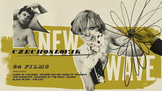 17K views · 732 reactions | Czechoslovak New Wave—24 films now on the...