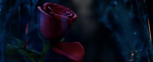 The enchanted rose comes to life... - Beauty and the Beast