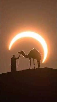 Kundalini Camel Remix #Egypt #Pyramids #Sphinx #camelride #sacredjourneys