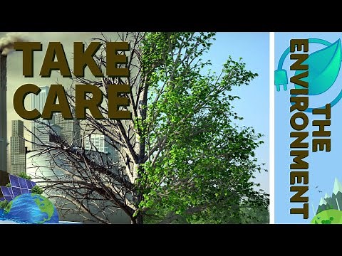 HOW TO TAKE CARE OF THE ENVIRONMENT