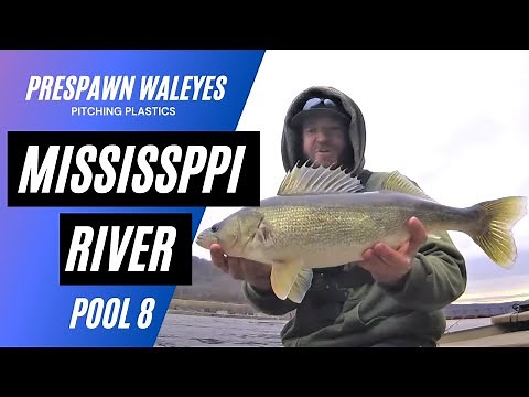 Mississippi River Walleye | Fishing Pool 8 of the Mississippi River for Spring Run Walleyes