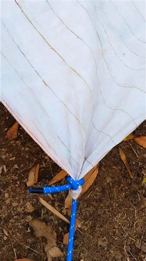 Practical Tarp Knot You’ll Use Every Time