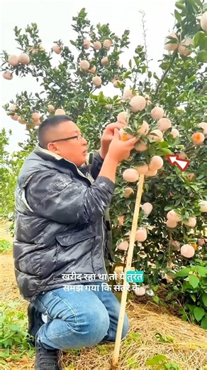 Why do Chinese people put white powder on oranges? #shortvideo