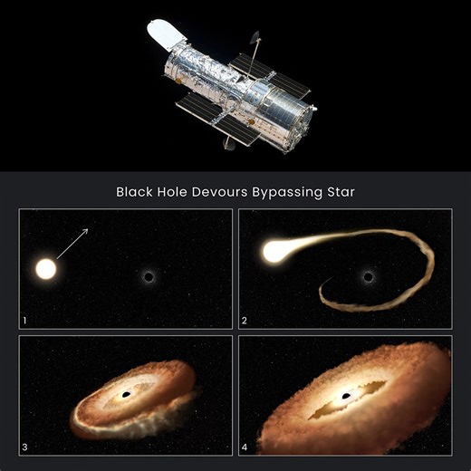 Hubble Space Telescope Observes Supermassive Black Hole Turning Captured Star Into Donut-Shaped Oddity