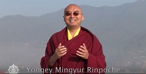 Yongey Mingyur Rinpoche On How Us Lazy People Can Start Meditation