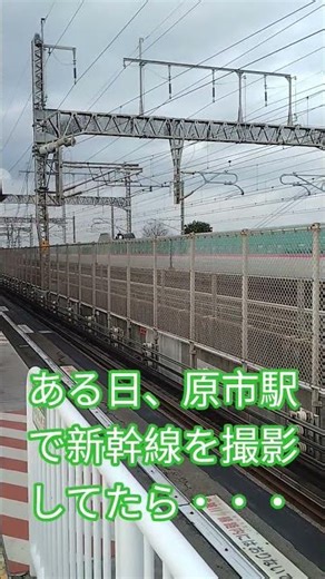 【東北新幹線】E5系やまびこ58号 高速通過シ―ン#東北新幹線 #新幹線 #shorts
