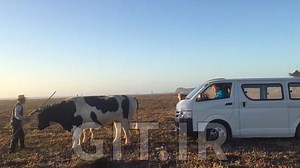 Development Economics:  A Comprehensive Economics Course