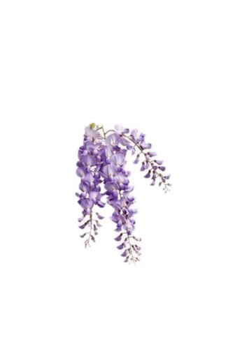 °``✦ #VOICECHAT :: E é por isso que eu amo eles KKKK ! ୨୧ ⏔⏔⏔ ꒰ ᧔ෆ᧓ ꒱ ⏔⏔⏔જ⁀➴