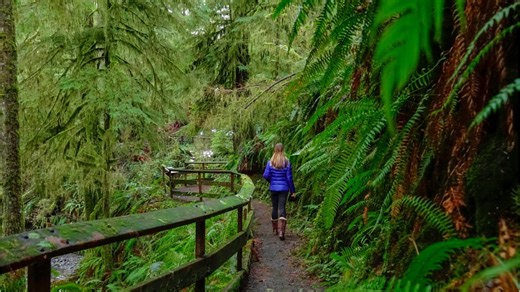 22ft-long python swallows an elderly woman alive