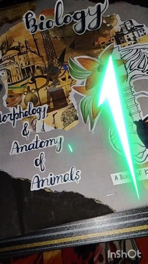 Biology practical file decoration ideas 💡💡#biologypractical #craftideas #pratibha