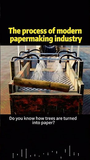 The process of modern papermaking industry #knowledge #science