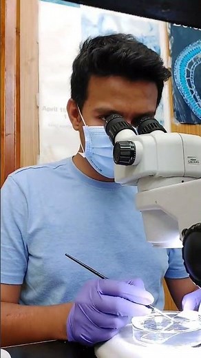 How stereozoom microscope looks from inside?