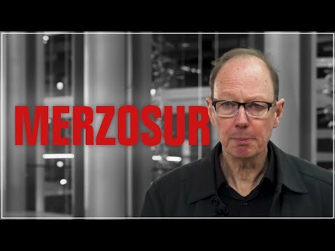 Everything you need to know about Merzosur