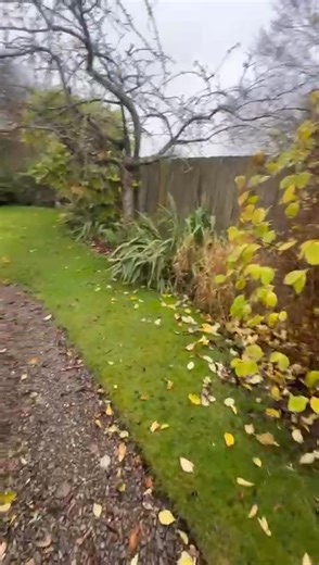 3.3K views · 13 reactions | --Another Stunning Upgrade-- Built 25...