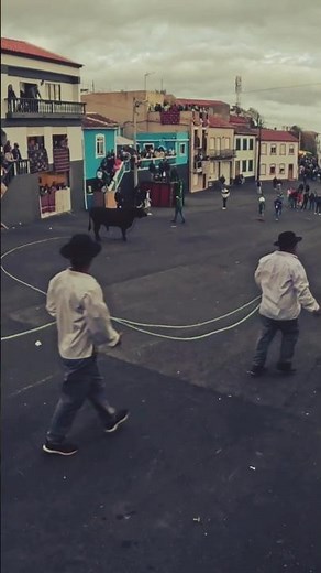 First Tourada of 2025, Terceira Azores #bullfight #travel
