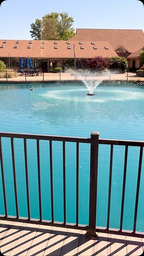 ❤️❤️❤️ | Diamond Rose