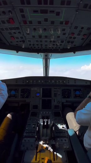 Inside an Aircraft Cockpit: Pilot Control Techniques