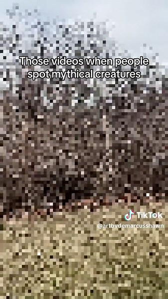 Spotting Big Foot - Mythical Creatures Sighting