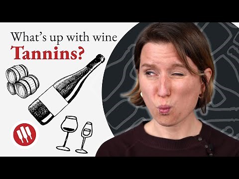 Are Tannins Wine's Little Miracle? | Wine Folly
