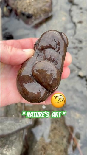 Surprise Mineral & Fossil Finds⁉️#beachfinds#rockhounding#Jurassic coast