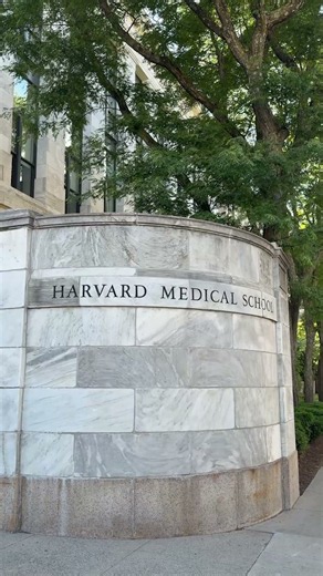 Summer Moments at Harvard Medical School