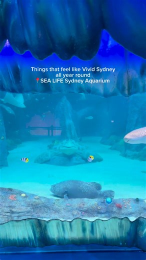 🌊✨ #sealifesydneyaquarium #sydneyaquarium #sydney #vividsydney | SEA LIFE Sydney Aquarium