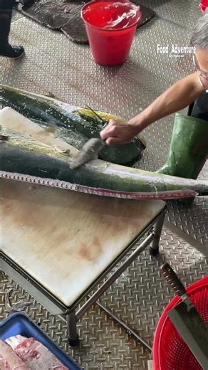 Skillful fillet mahi mahi like a pro #mahimahi #fishfillet #knifeasmr