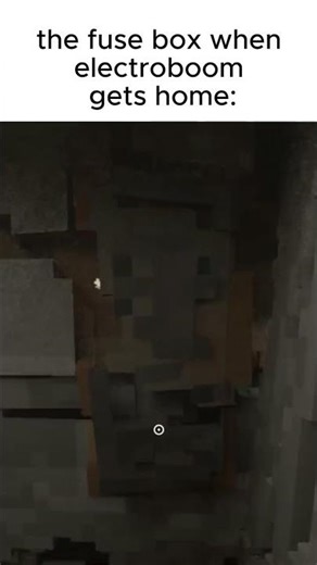 Fusebox #funny #electroboom