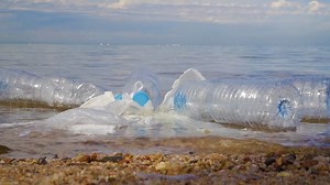 朗 KidVision New Words | Litter Learn 'New Words' with Miss Penny! ASK: What is 'litter'? Watch Full Trip: https://youtu.be/X7DZZDj8tUo KidVision Pre-K is brought to you in part by the Children's Services Council of Broward County Florida and South Florida PBS. With gratitude to the Museum of Discovery and Science. | KidVision Pre-K | Facebook