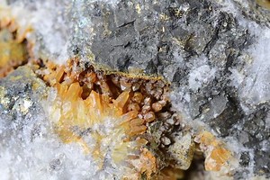 【生命の起源】鉱物の存在が生命誕生を可能にした。5つの重要な役割 ｜ 渡邉克晃公式サイト | 地学博士のサイエンス教室　グラニット