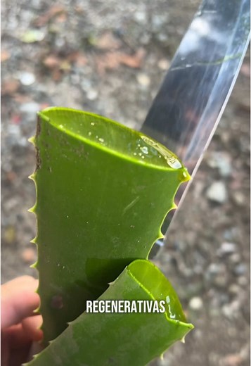 Cómo prevenir quemaduras en la gastronomía