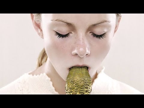 Petrina Hicks - Bleached Gothic - Photography