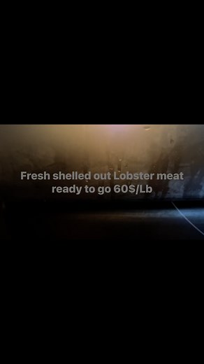 Fresh shelled out bay of fundy lobster meat available 10am Monday morning sept 1st Tails Knuckles Claws | JB Lobsters & Seafood Inc.