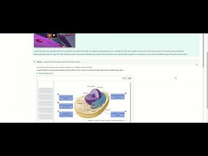 AP Biology Pearson Chapter 14 HW Answers + Explanation