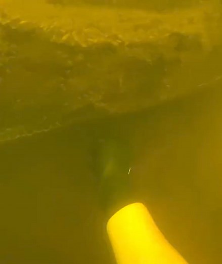 445K views · 3.5K reactions | 20_#underwater #scubadiving #treasurehunting #fyp | Underwater Exploration | Facebook