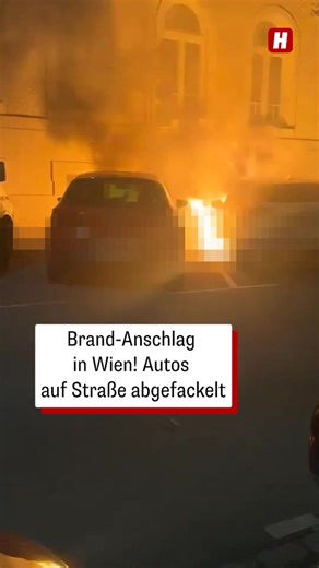 In der Nacht auf Montag wurde in Wien ein Auto auf offener Straße angezündet. Ein Kanister deutet auf eine Brandstiftung hin. Die lodernden Flammen griffen auf ein zweites Fahrzeug über – beide Pkw sind Totalschaden. Die Polizei ermittelt wegen möglicher Brandstiftung 🚓 🚨 #heutezeitung #tageszeitungheute