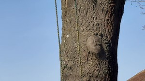 When I’m cleaning “Windows” this flys over my garden today | Keith Jones Airshow Videos